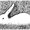 bunny-opticalillusion